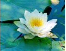 Simply B, Lymington's Beauty Salon, offers FDA Approved Endermologie